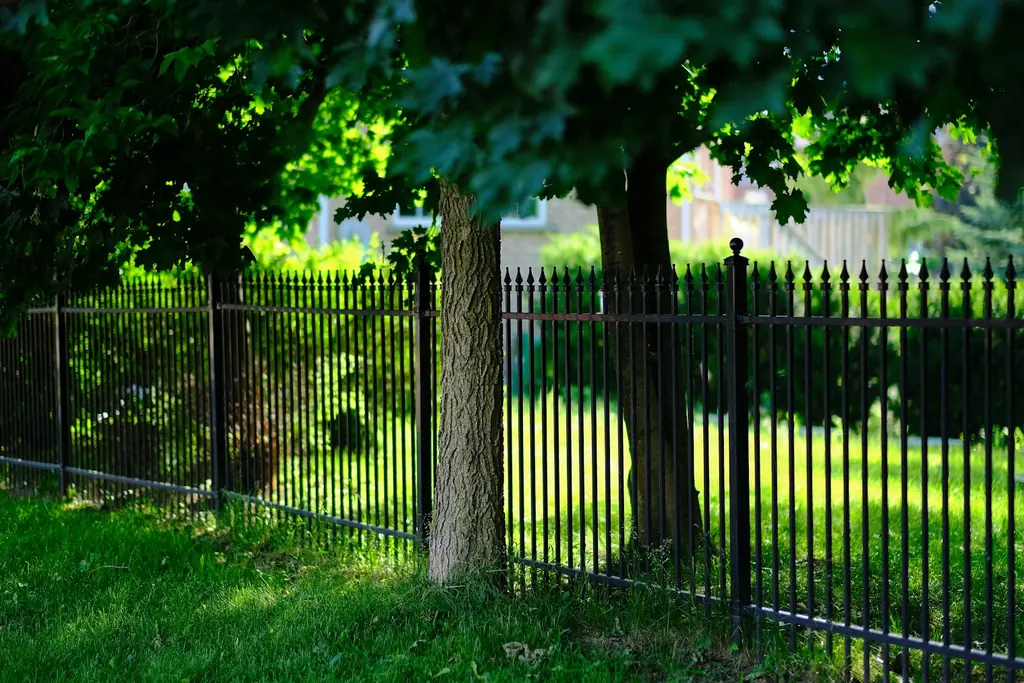 A black ornamental metal fence under trees