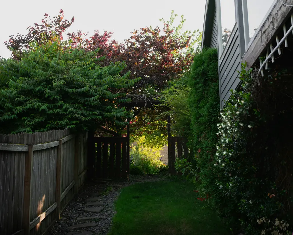 A wood fence along the side of a house