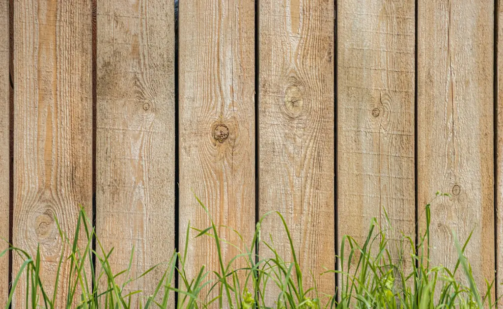 Close-up of wood fence boards